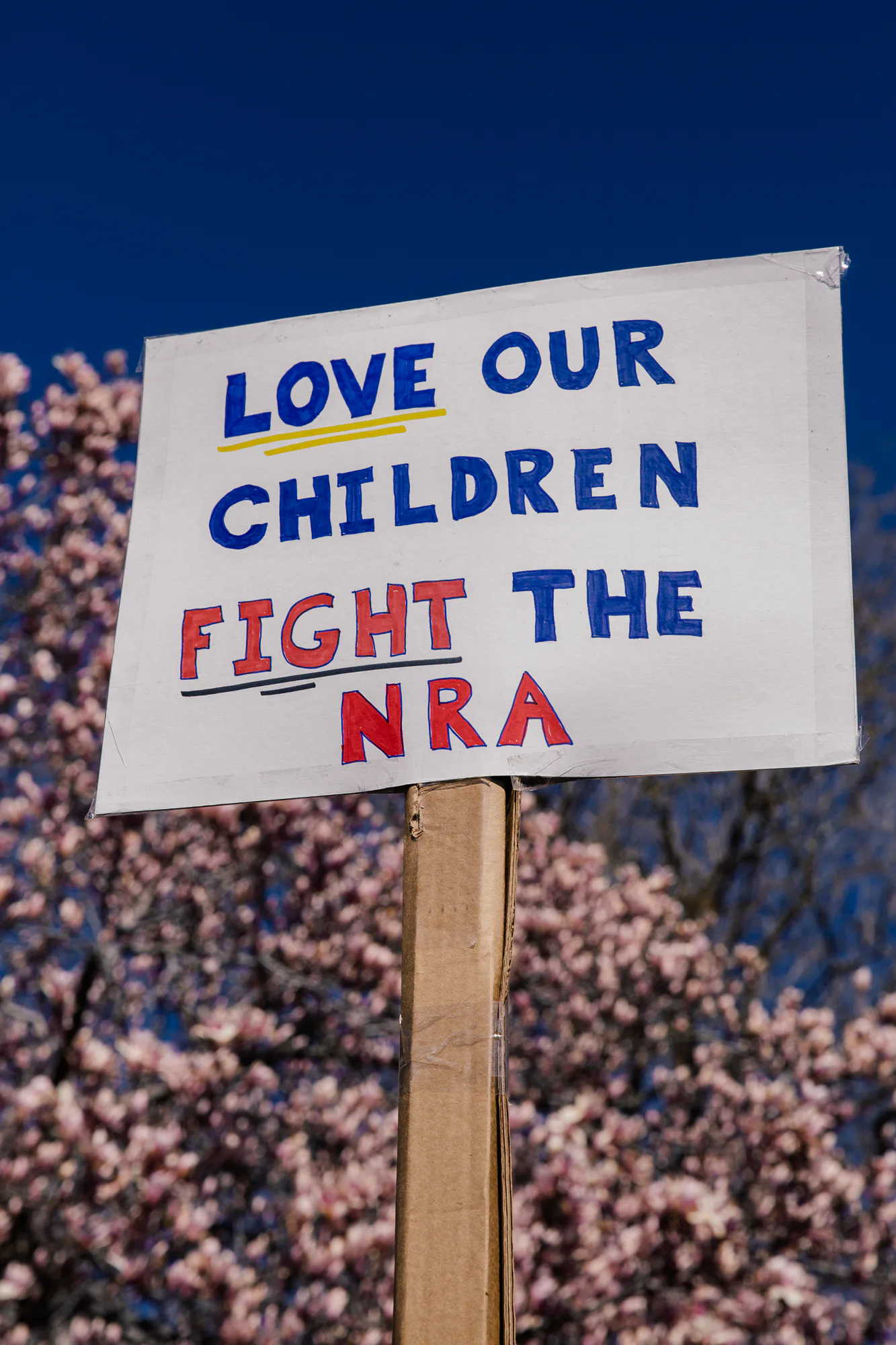 March for Our Lives: Scenes From On the Ground at the Washington, D.C ...