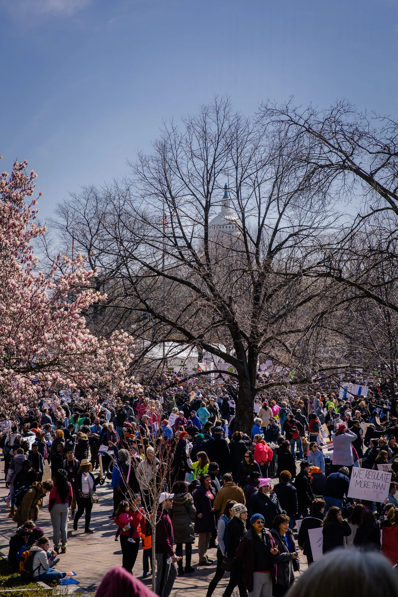 March for Our Lives: Scenes From On the Ground at the Washington, D.C ...