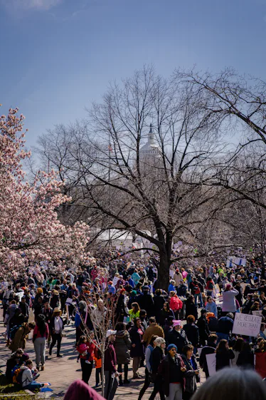 March for Our Lives: Scenes From On the Ground at the Washington, D.C ...