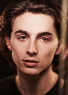 timothee chalamet