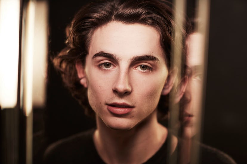 timothee chalamet