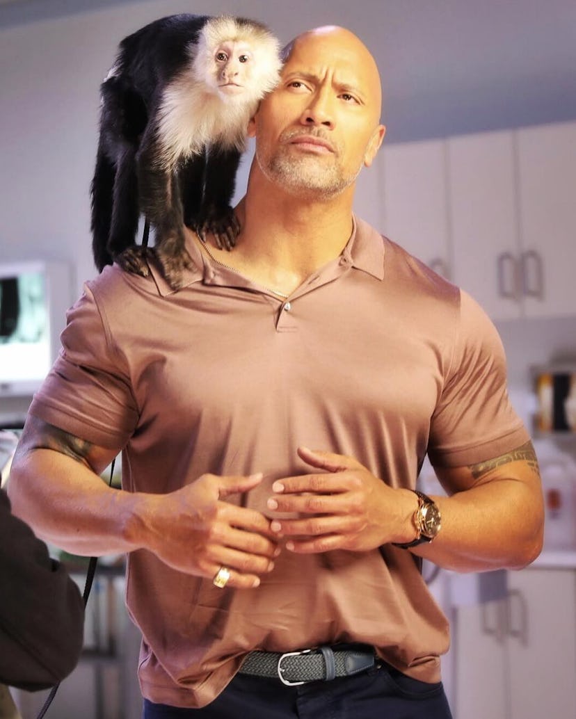 dwayne-the-rock-johnson.jpg