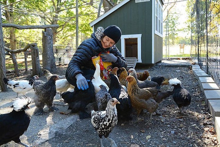 Isabella Rossellini, one of the savviest celebrity moms on social media, feeding chicken