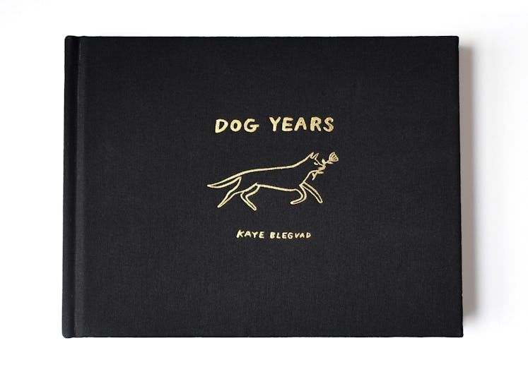Kaye Blegvad Dog Years book cover.jpg