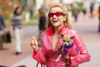 LEGALLY BLONDE, Reese Witherspoon, Bruiser, 2001, photo: (c) MGM/courtesy Everett Collection.