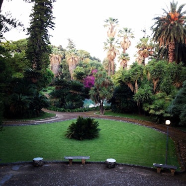 Villa Tasca Garden view.JPG
