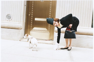 Louis Vuitton dog bag  Paris hilton dog, Chihuahua love, Dogs