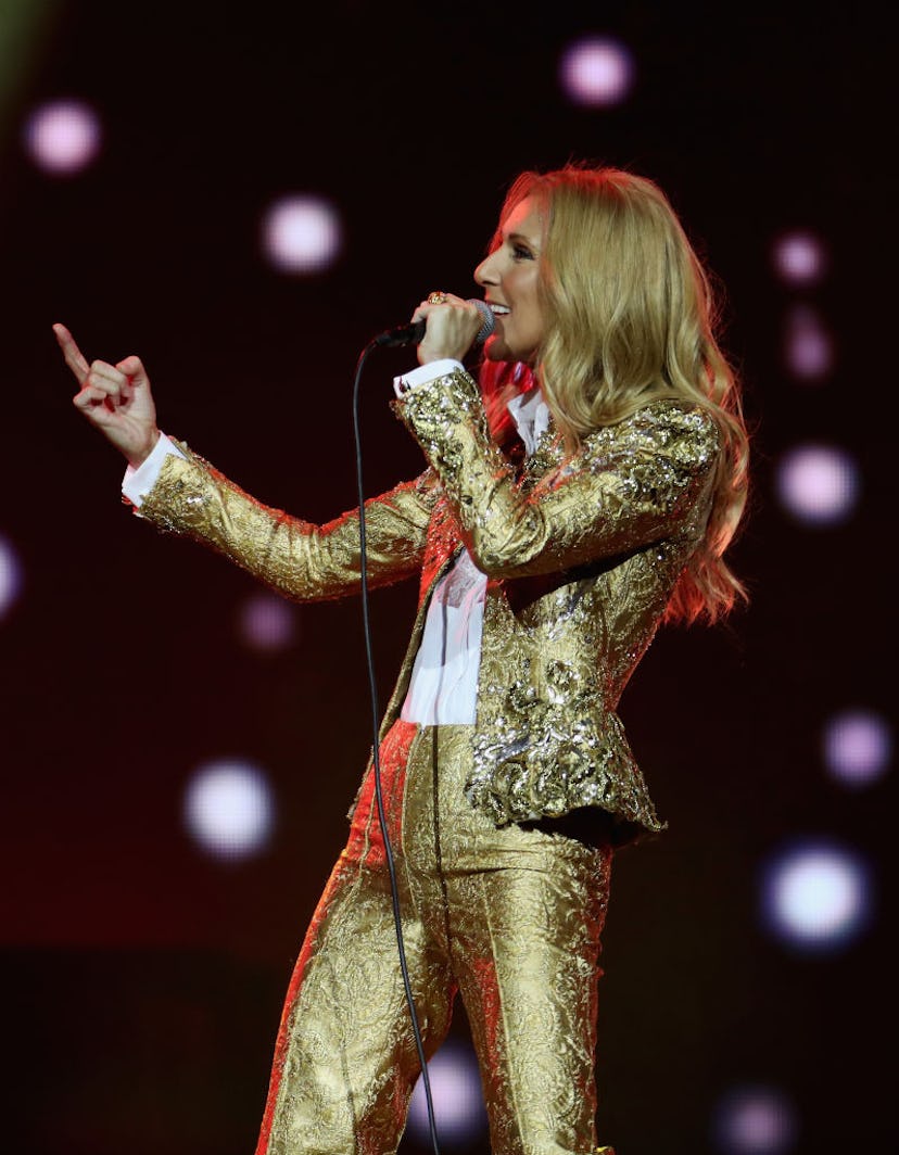 Celine Dion Performs In Sydney