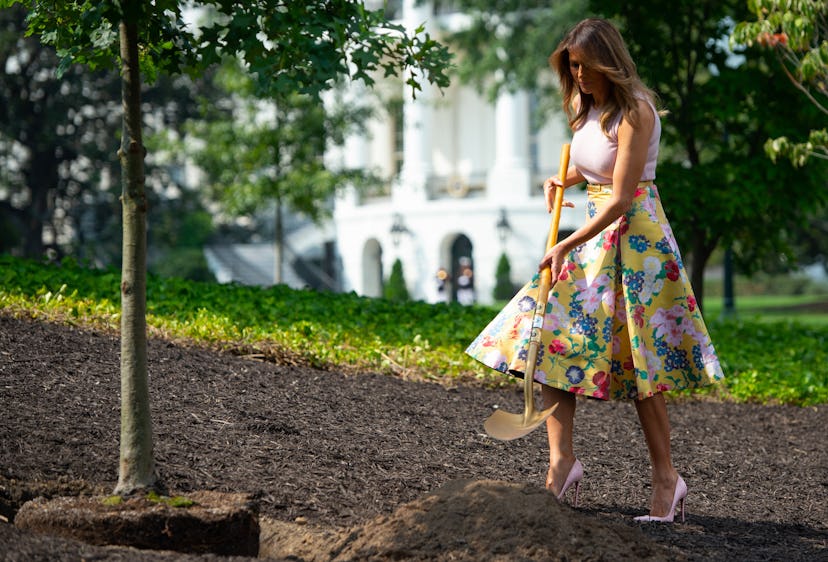 US-politics-TRUMP-TREE