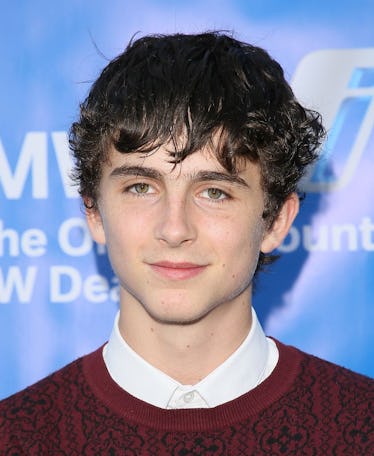 timothee chalamet hair