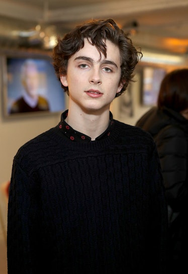 Timothée Chalamet leads stars with 'hair of the year' followed by