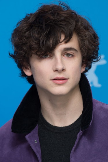 Timothée Chalamet's hair test for Bones And All posted by