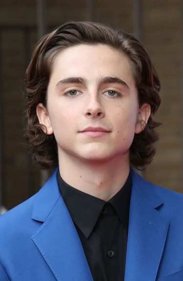 Timothée Chalamet Got a Haircut and I Need a Moment to Process It