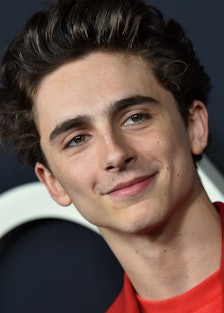 Timothée Chalamet Reacts to Those Photoshopped 'Chalametinart' Instagram Memes