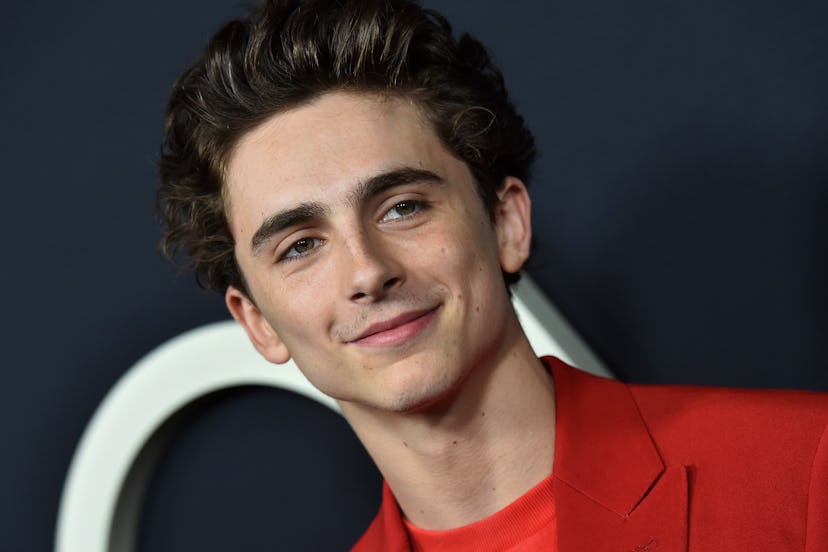 Timothée Chalamet Reacts to Those Photoshopped 'Chalametinart' Instagram Memes