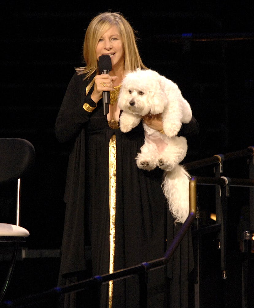 Barbra Streisand Tour Opener - October 4, 2006
