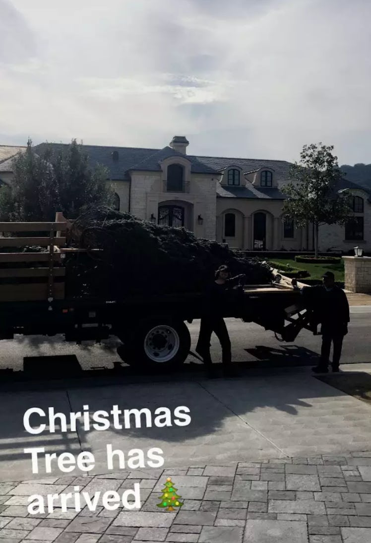 kylie-christmas-tree-movers.png