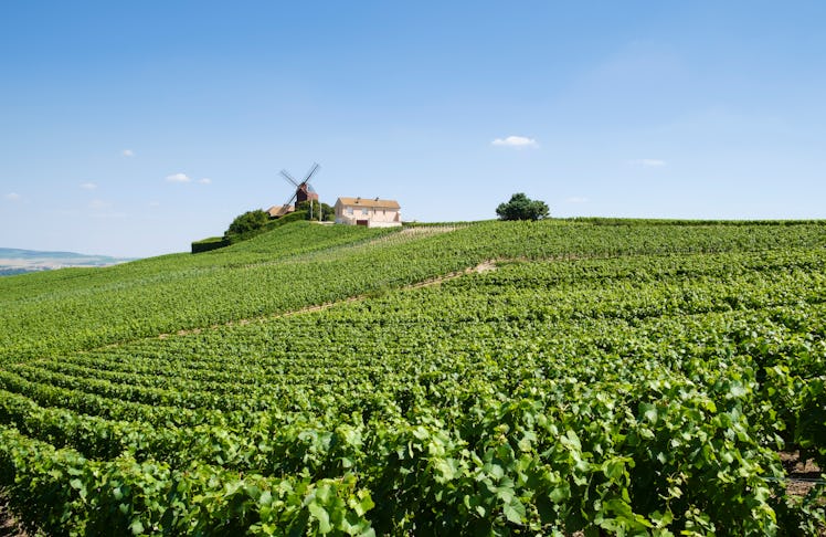 The 26 Hottest Destinations to Visit This Summer: Champagne, France
