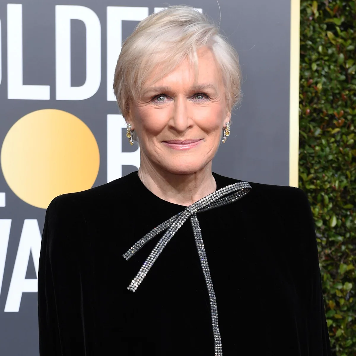 glenn close dress golden globes 2019 Glenn Close's Oscars 2019 Outfit Photos