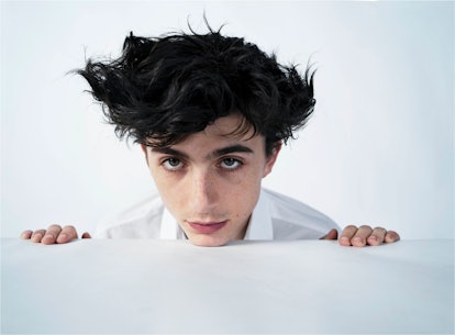 414px x 305px - TimothÃ©e Chalamet in Conversation: A Raw, Honest Talk About Addiction,  Recovery, and His Film Beautiful Boy