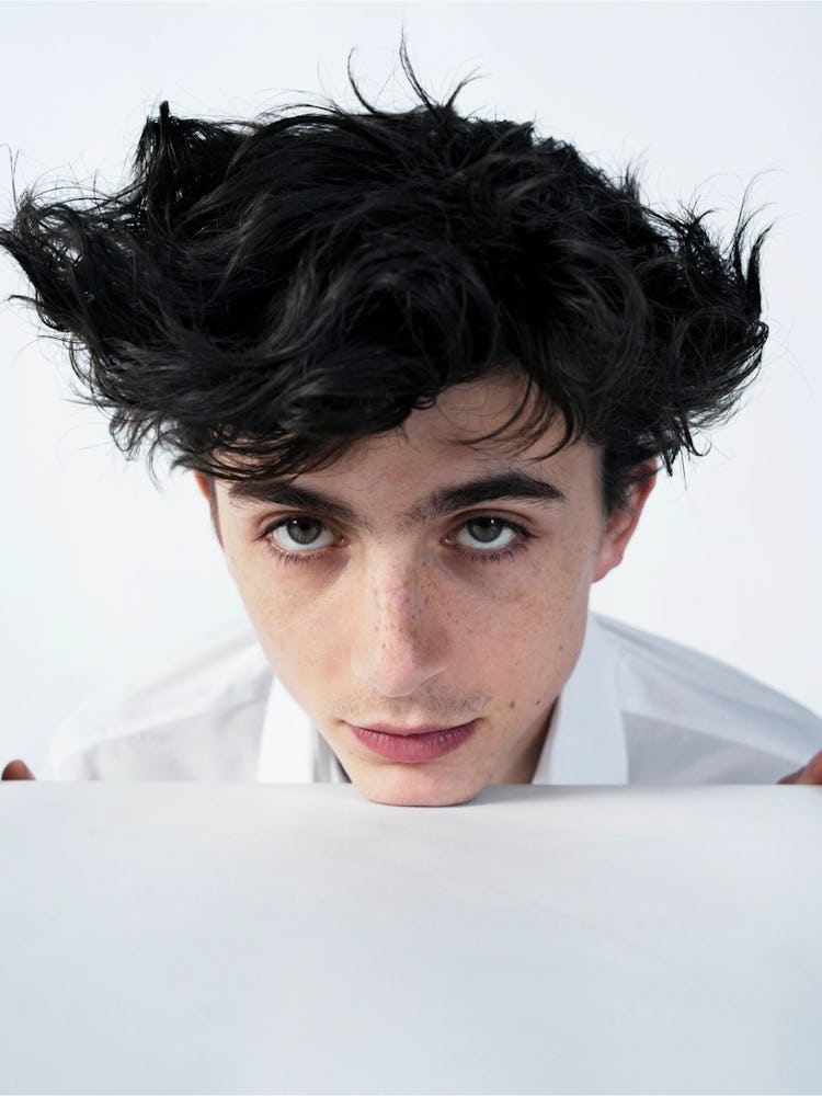 Timothée Chalamet in Conversation: A Raw, Honest Talk About Addiction, Recovery, and His Film Beautiful Boy