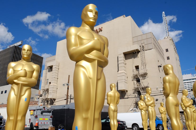 89th Annual Academy Awards - Red Carpet Roll Out