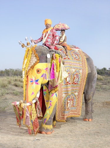 From the Painted elephants series, India, 2013 - Photo by Charles FrÇger.jpg