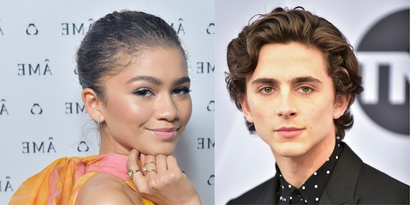 zendaya timothee chalamet.jpg