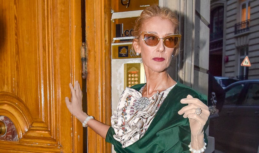 Celebrity Sightings in Paris - January 25