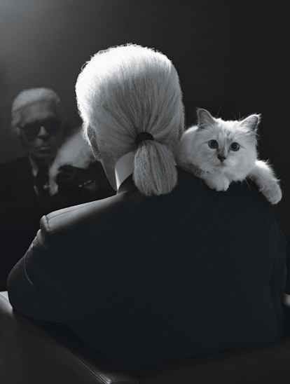 Remembering Karl Lagerfeld's Love of His Cat, Choupette