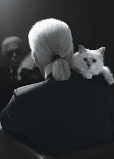 Karl Lagerfeld choupette.png