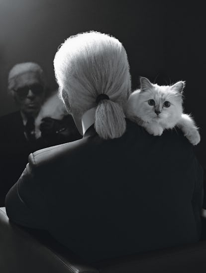 Karl Lagerfeld choupette.png