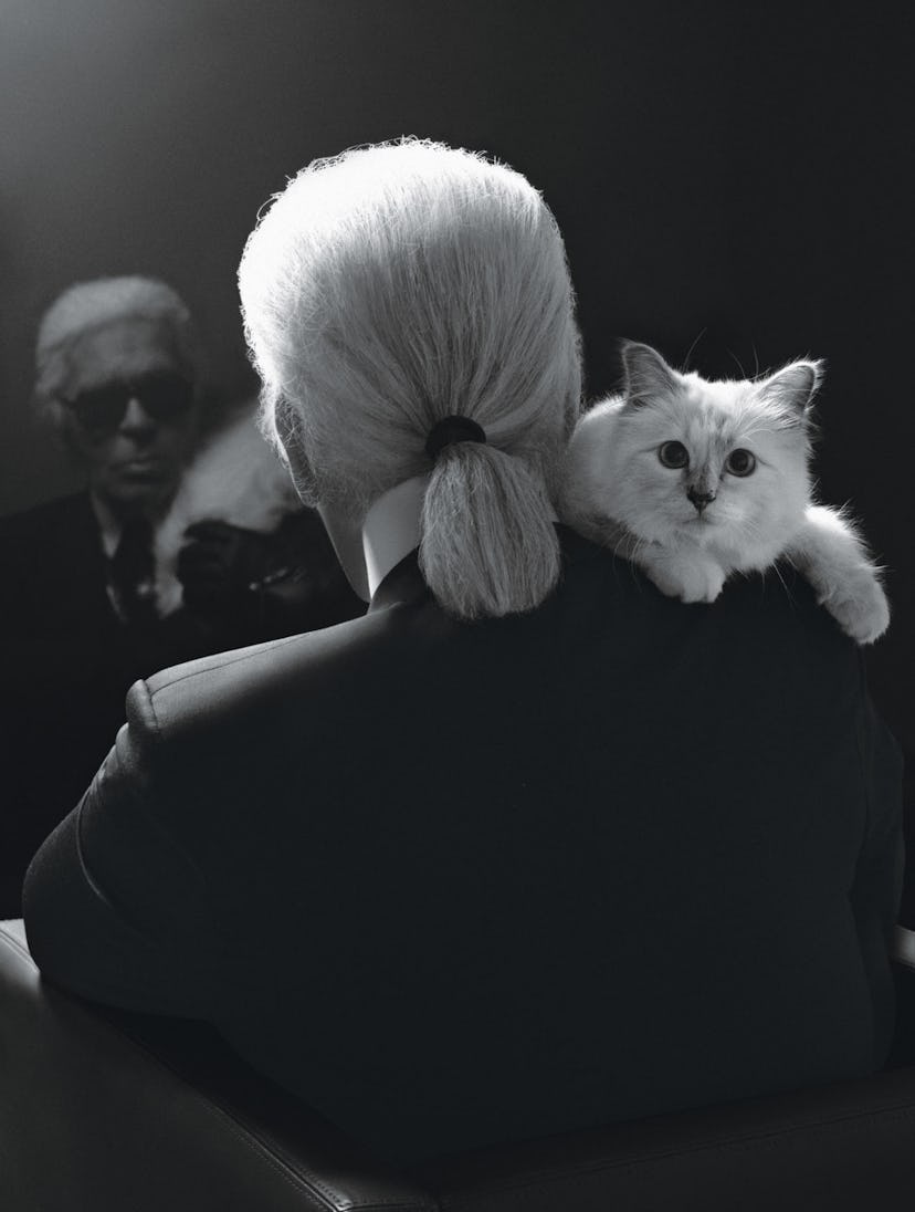 Karl Lagerfeld choupette.png