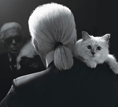 How Karl Lagerfeld's cat Choupette, already a millionaire, could become the  richest feline on the planet
