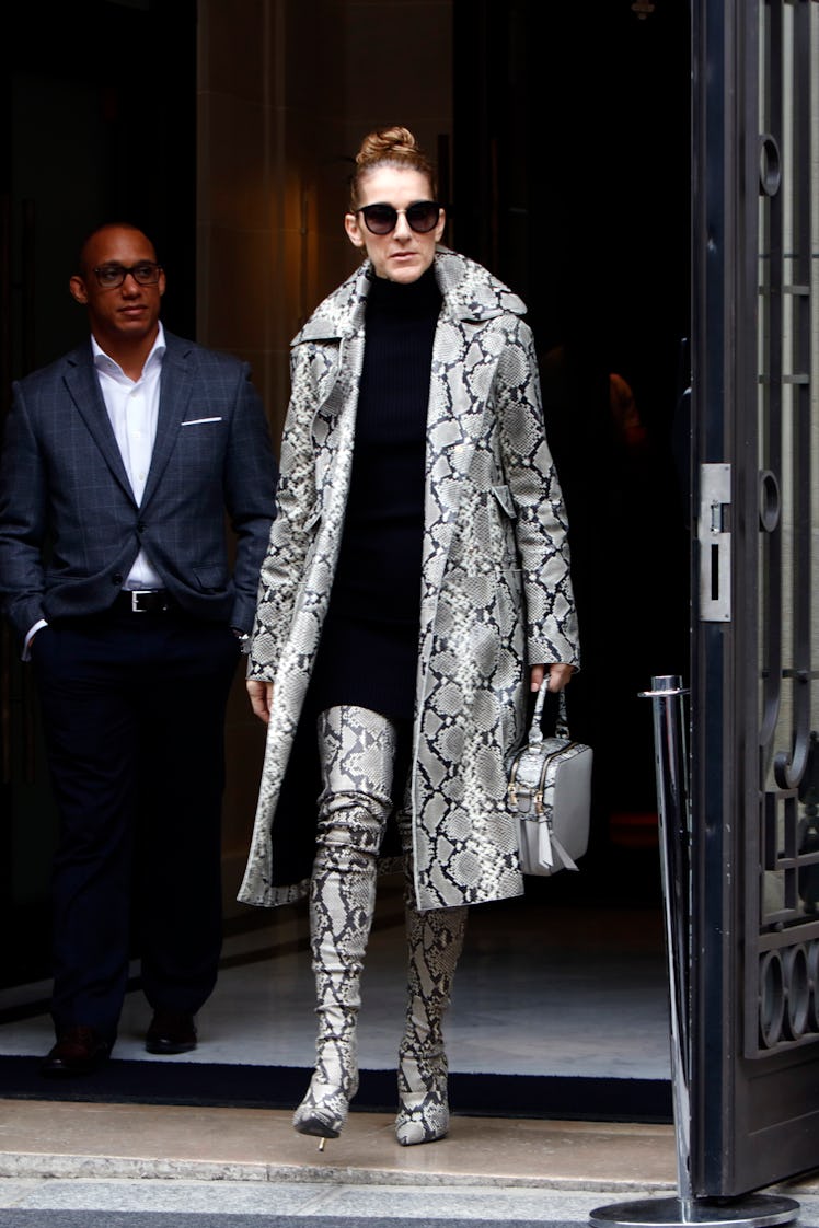 Celine Dion leaves her hotel in Paris, France, on July 27, 2017. Celine Dion leaves her hotel in Par...