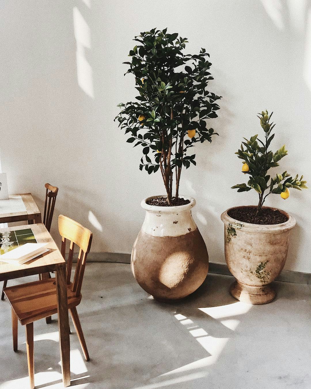Jacquemus S New Paris Cafe Is As Instagrammable As You D Expect