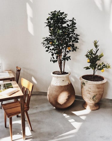 Jacquemus S New Paris Cafe Is As Instagrammable As You D Expect Jacquemus S New Paris Cafe Is As Instagrammable As You D Expect