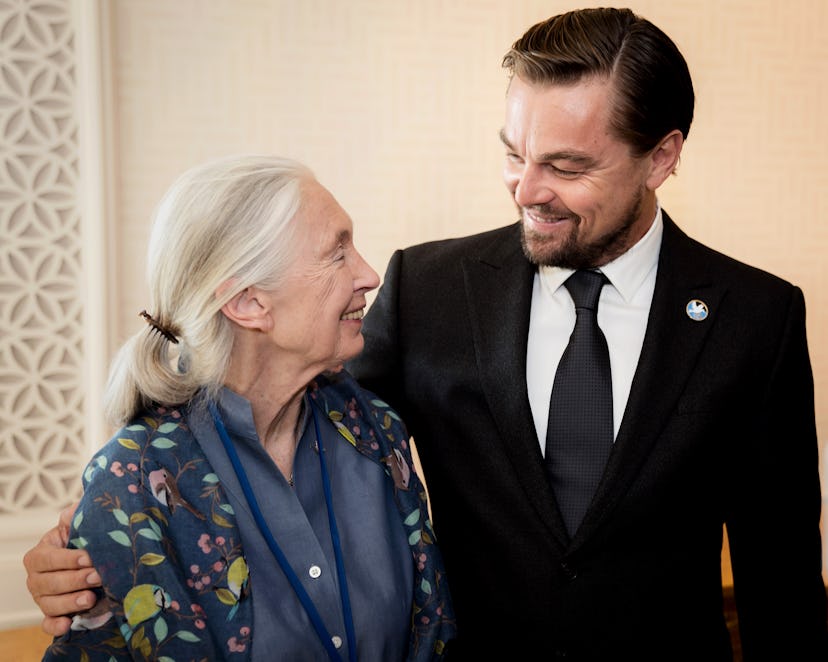 United Nations General Assembly