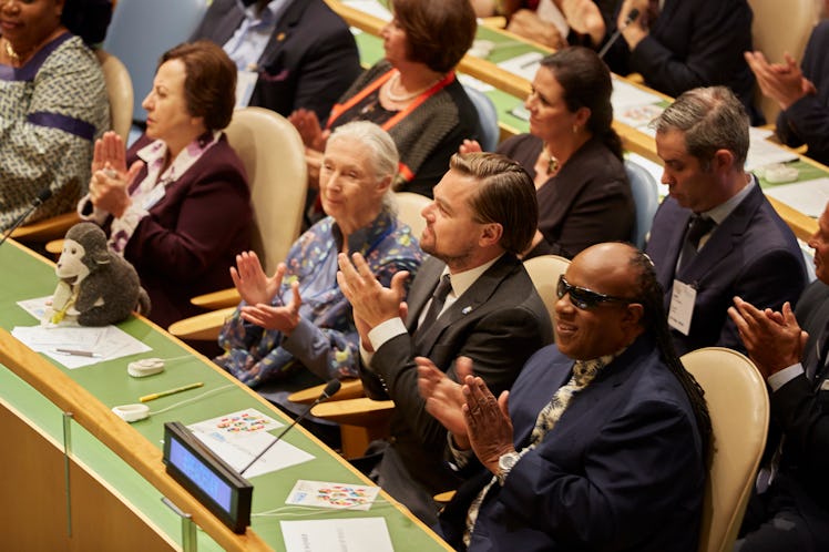 Messengers of Peace, Stevie Wonder (R), Leonardo DiCaprio (