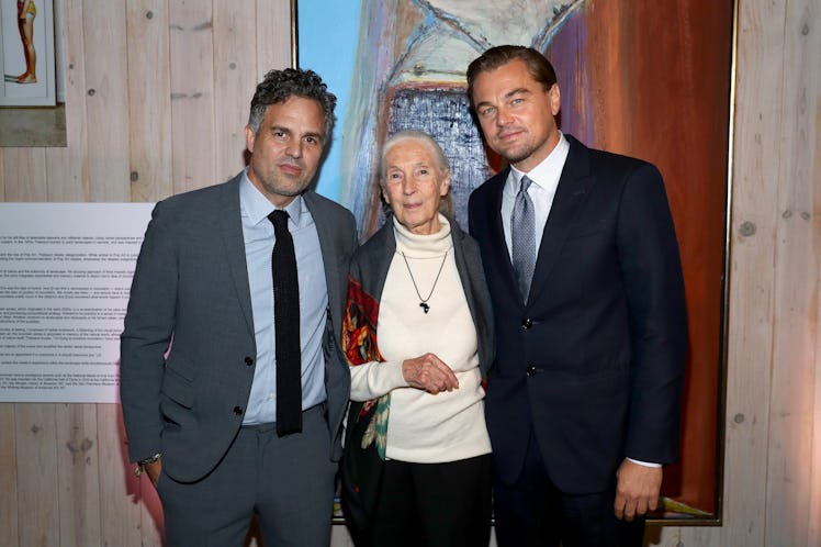Leonardo DiCaprio Foundation Gala - Inside