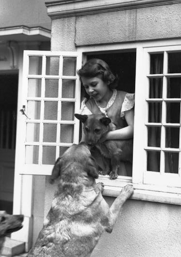 An Appearance Back at Queen Elizabeth II's Lifelong Love For Corgis 13 5cbb536d8ad27e1fb3e66f7f GettyImages 3363157
