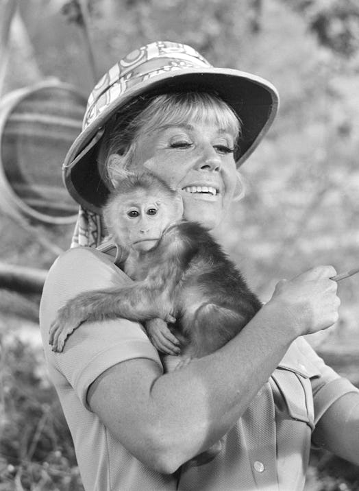 Monkey Business On 'The Doris Day Show'