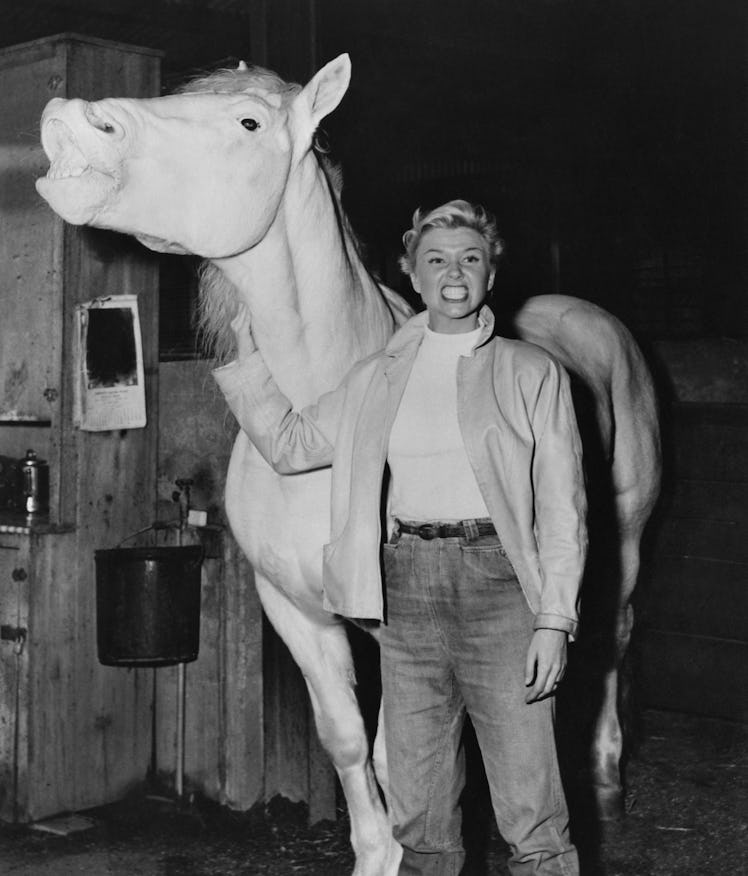 Doris Day And Silver