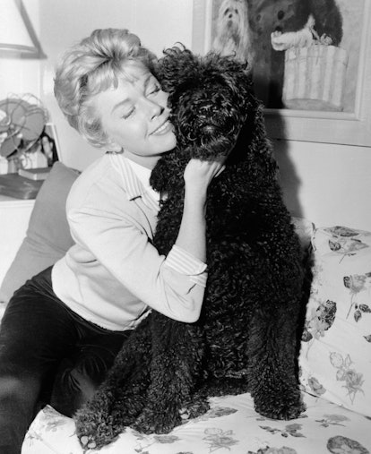 Picture of Doris Day and Dog
