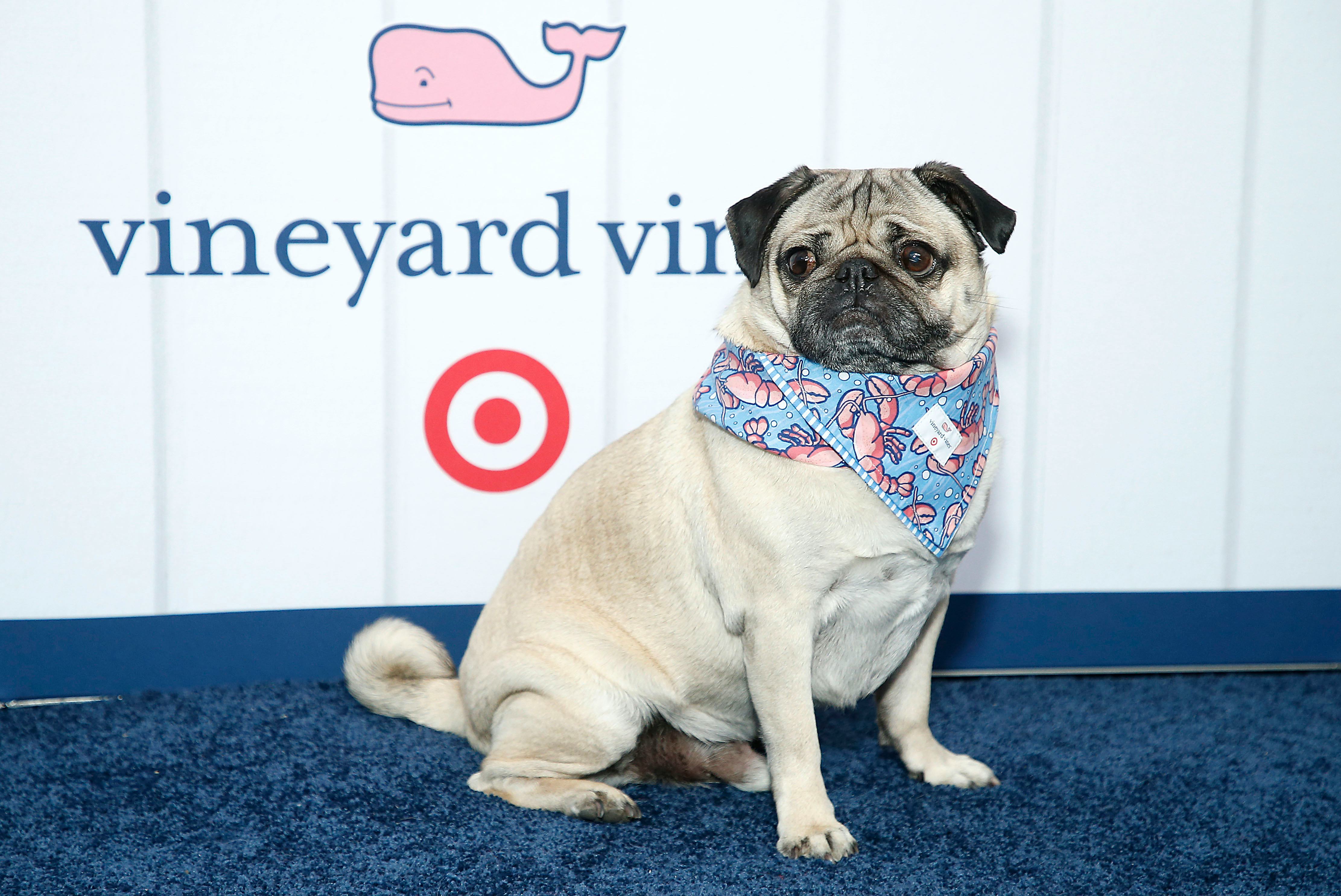 The Vineyard Vines x Target Release Has Preppies Losing Their Minds