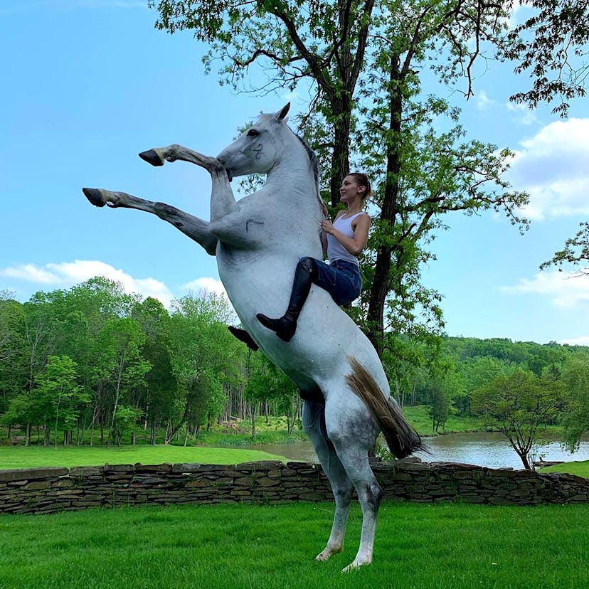 Bella Hadid on a horse 
