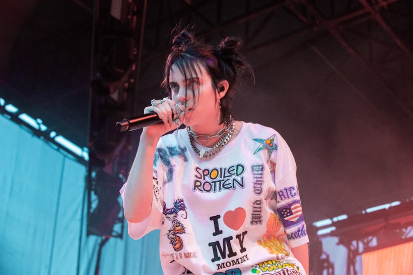 Billie Eilish Performs At Marymoor Park