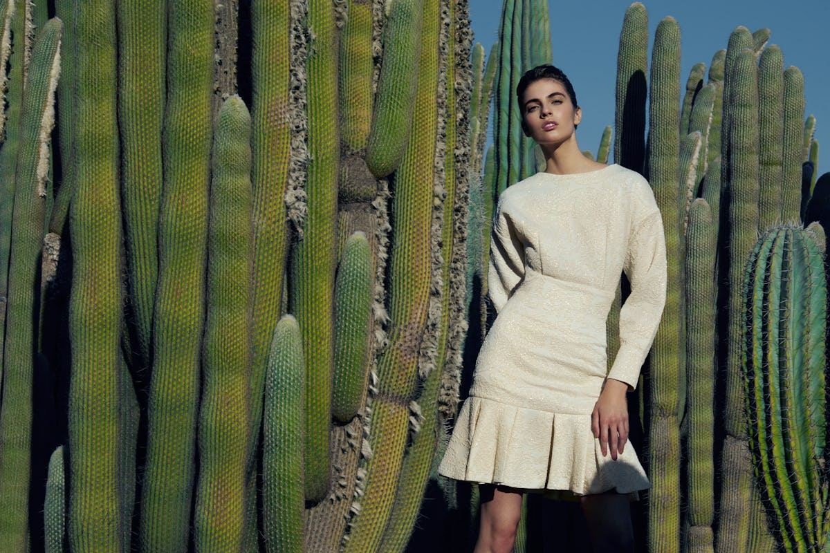 Bambah FW19 c.jpg