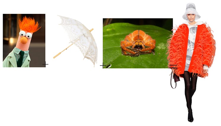 Beaker from The Muppet Show; A lace parasol; An orange huntsman spider; Valentino’s wispy drifters.