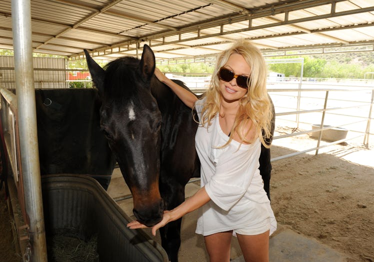 Pamela Anderson Visits The Gentle Barn